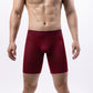 Men's Ice Silk Mesh Style For Sports Shorts